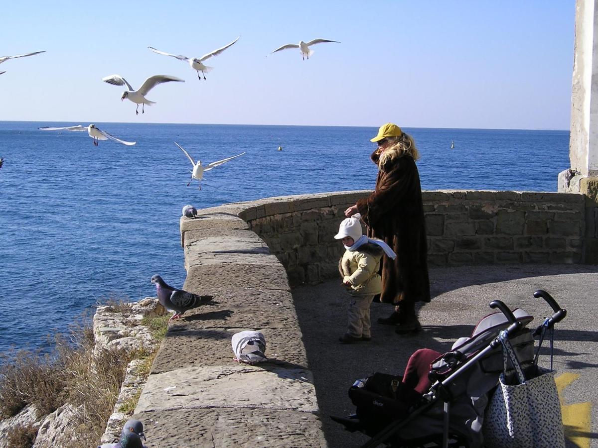 La Mansarda Delle Meraviglie B&B Superior Trieste Eksteriør bilde