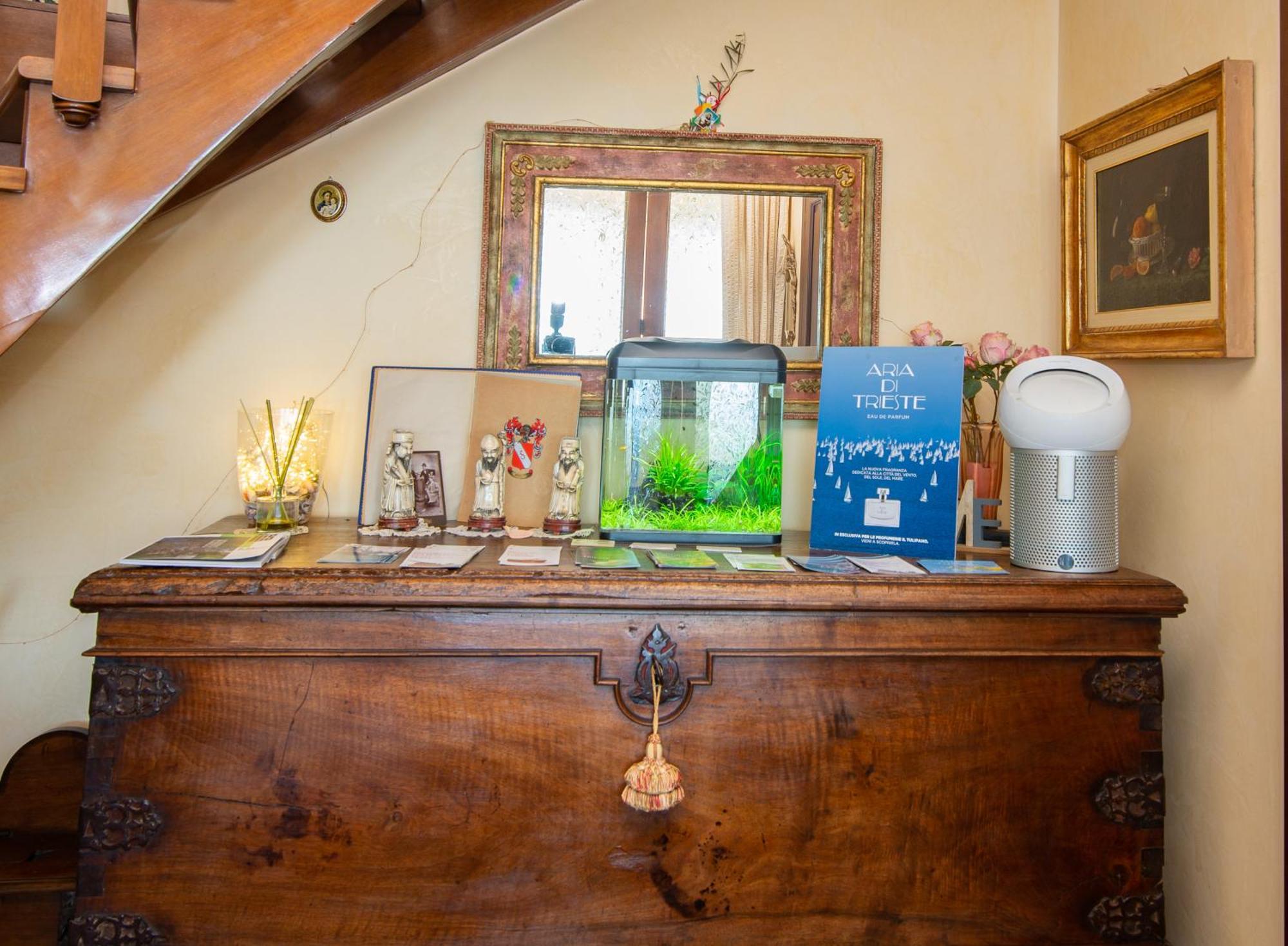 La Mansarda Delle Meraviglie B&B Superior Trieste Eksteriør bilde